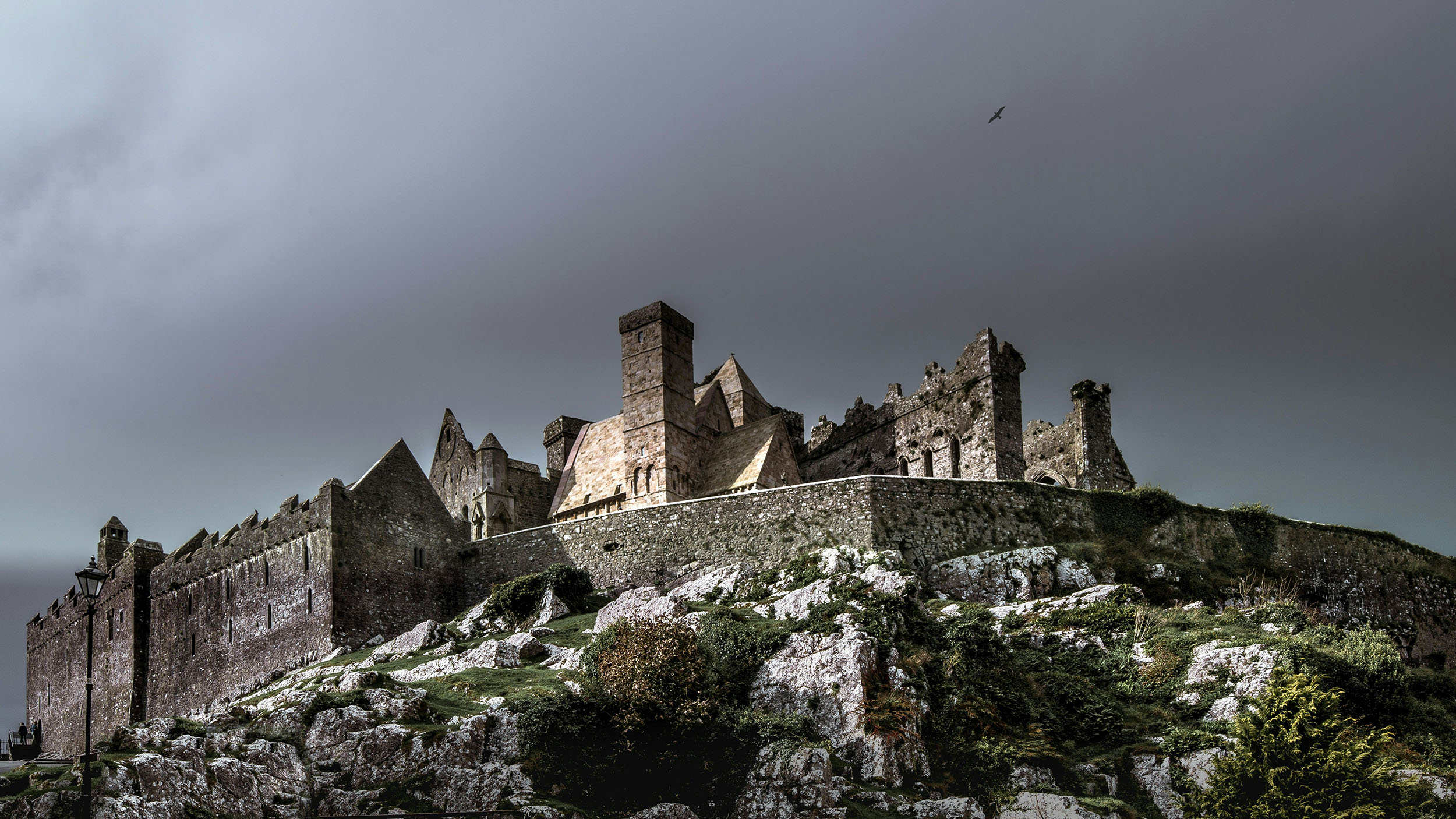 The Rock of Cashel rising above Co. Tipperary, home of Daverns since 1926